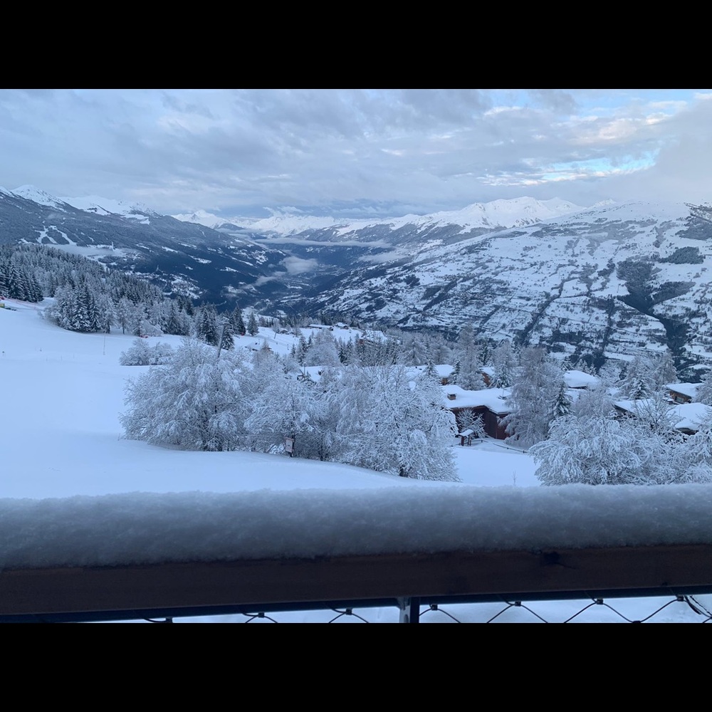 Meet your Posher, Jolan